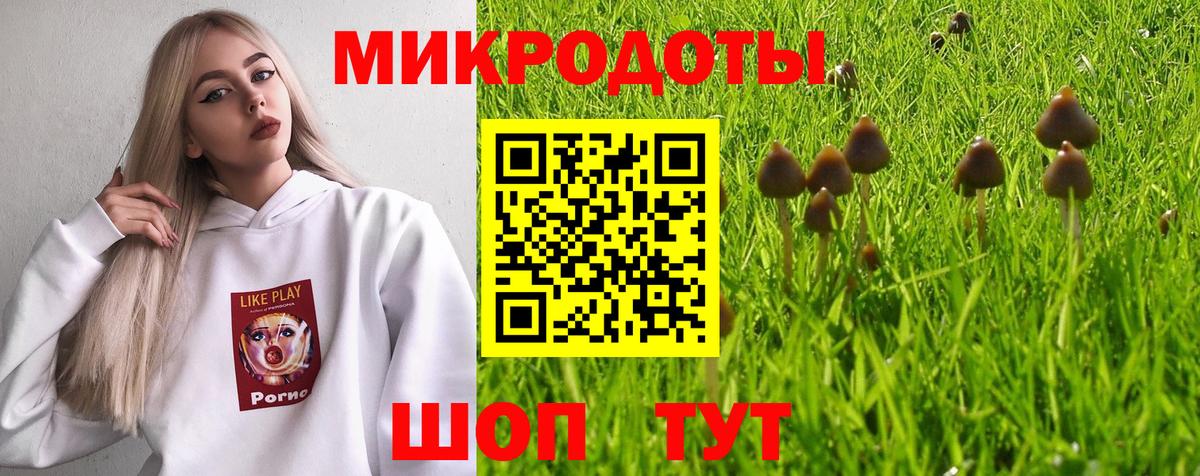 Галлюциногенные грибы Cubensis Бор